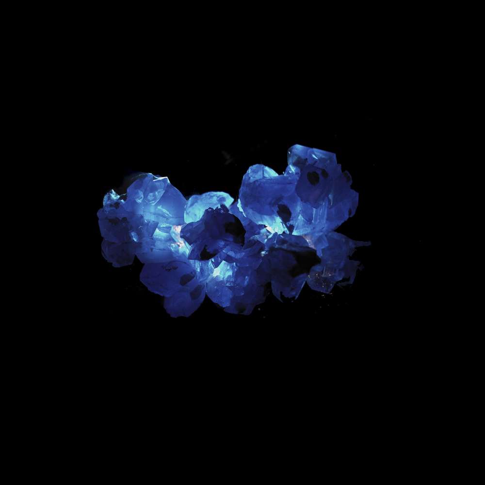 Isoform