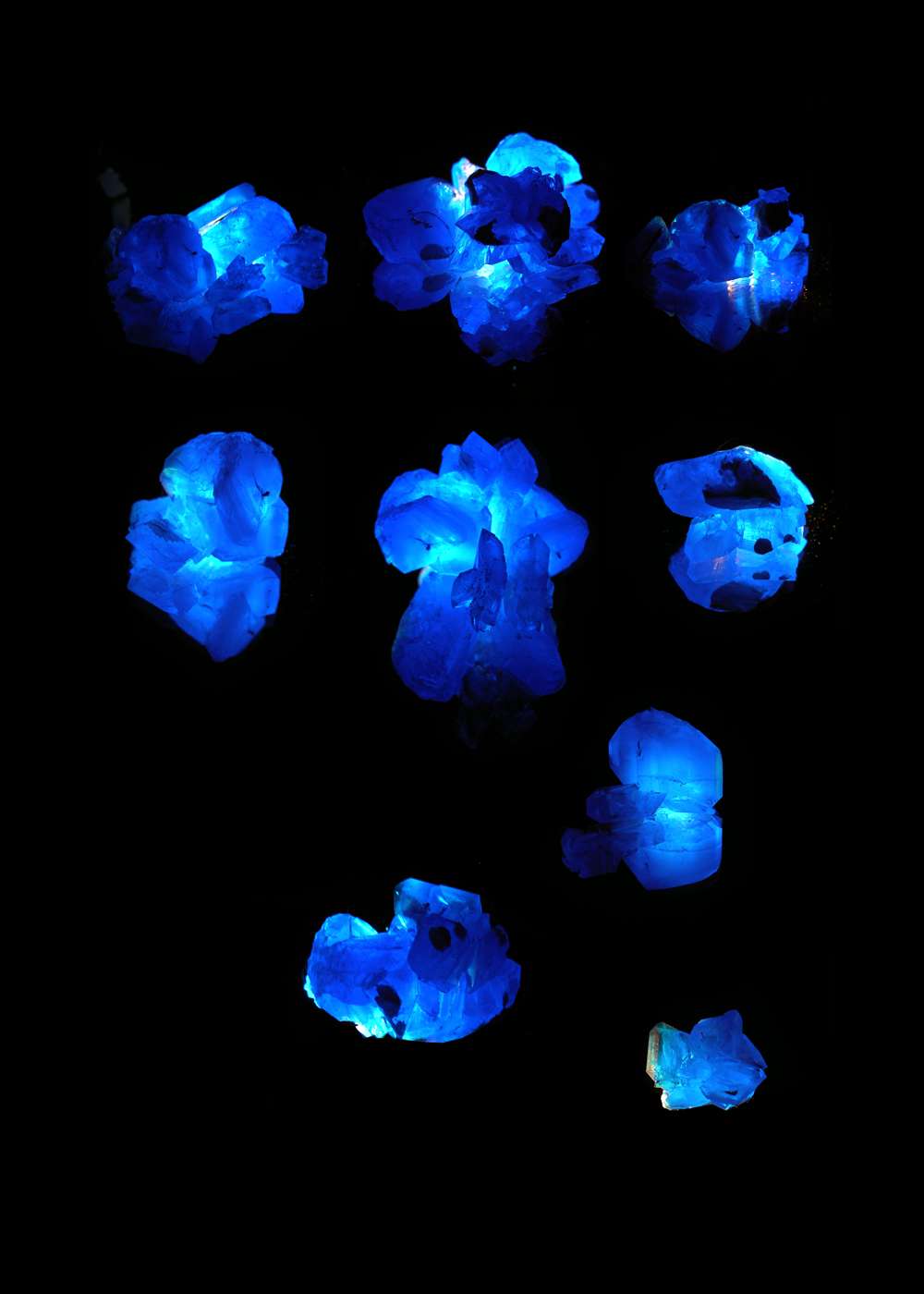 Isoform