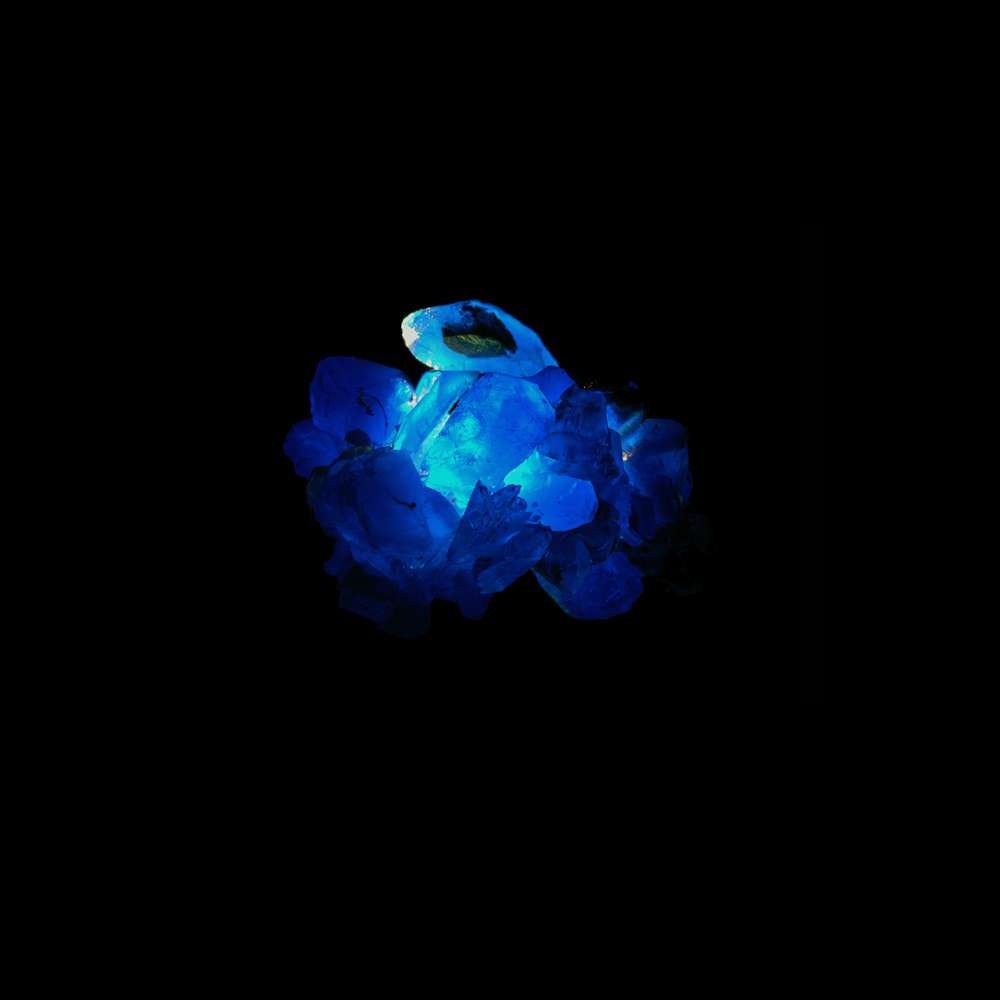 Isoform